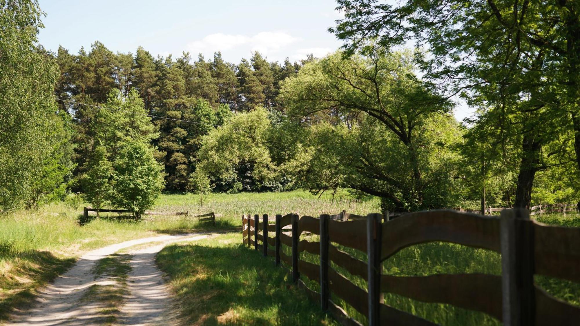 Domki Nad Pilica Krzetow Extérieur photo